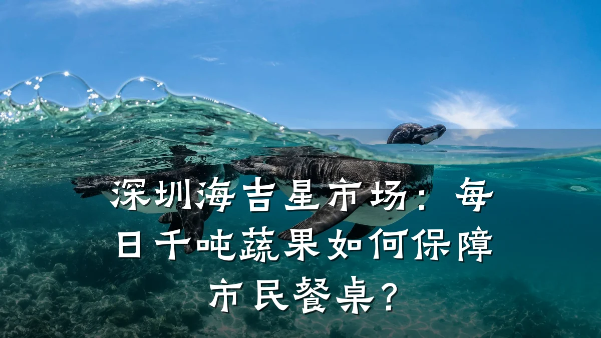 深圳海吉星市场：每日千吨蔬果如何保障市民餐桌？
