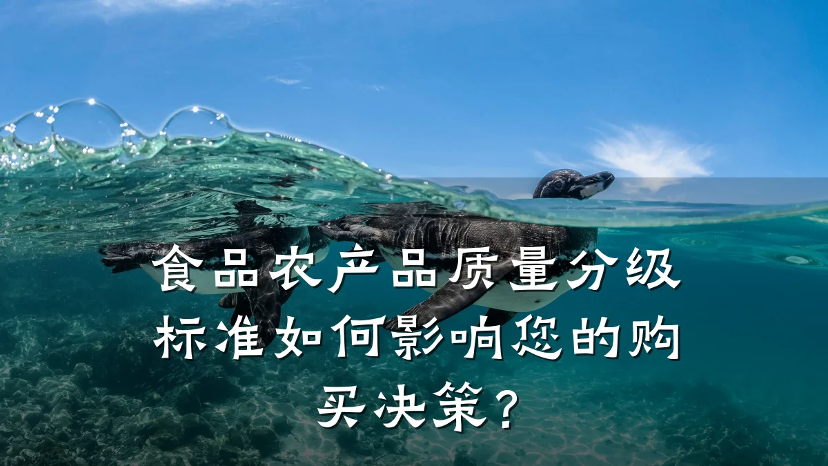 食品农产品质量分级标准如何影响您的购买决策？