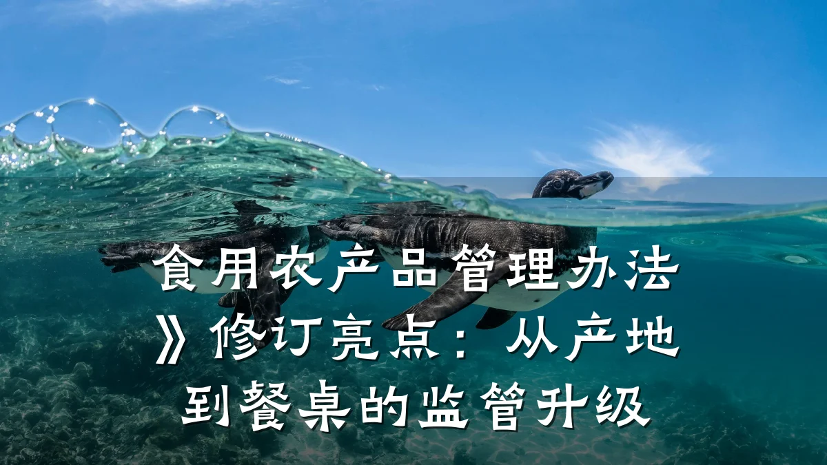 食用农产品管理办法》修订亮点：从产地到餐桌的监管升级