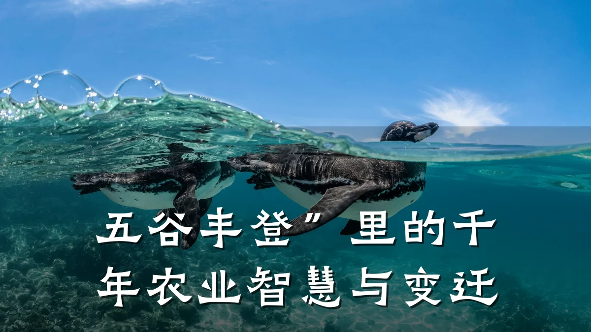 五谷丰登”里的千年农业智慧与变迁