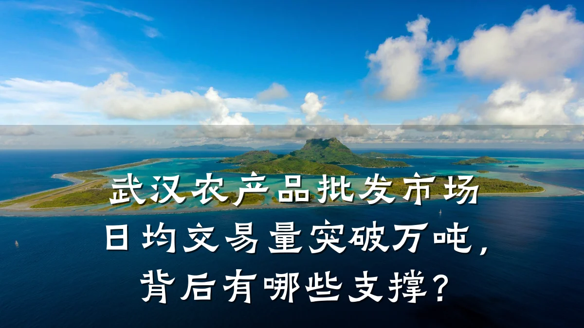 武汉农产品批发市场日均交易量突破万吨，背后有哪些支撑？