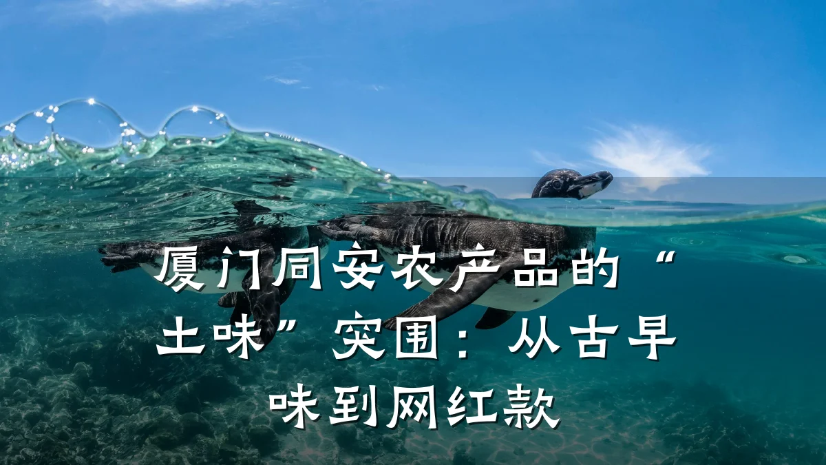厦门同安农产品的“土味”突围：从古早味到网红款