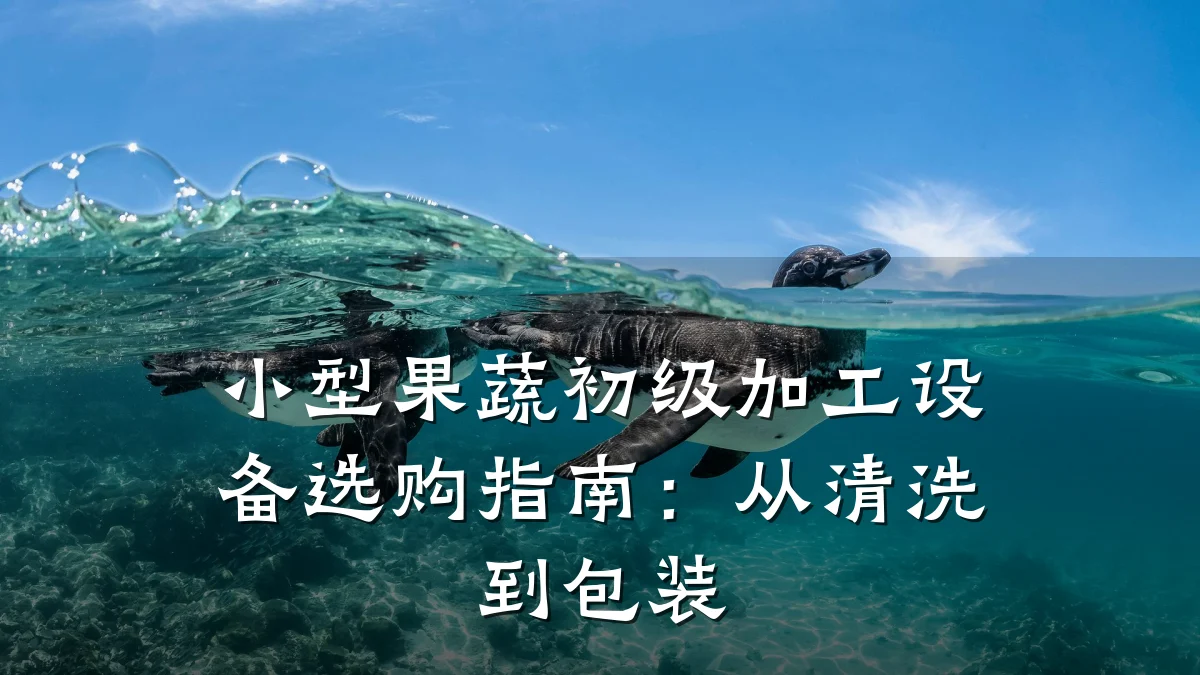 小型果蔬初级加工设备选购指南：从清洗到包装