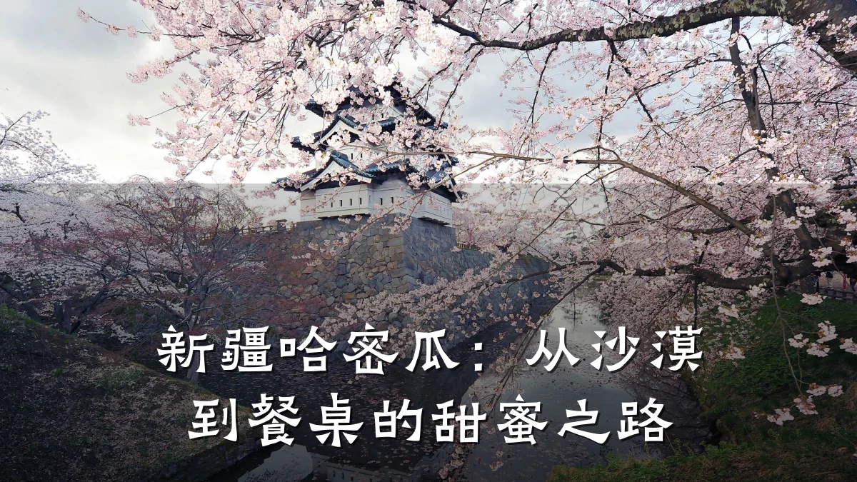 新疆哈密瓜：从沙漠到餐桌的甜蜜之路