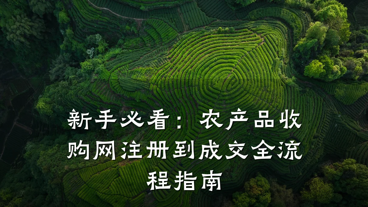 新手必看：农产品收购网注册到成交全流程指南