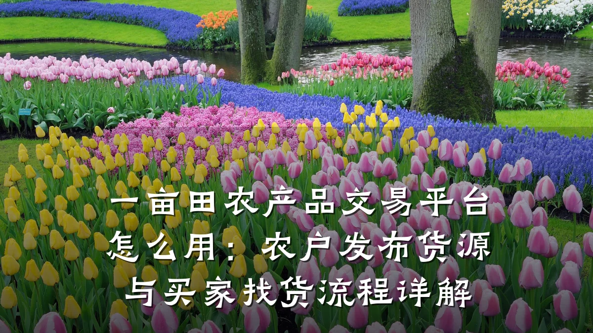一亩田农产品交易平台怎么用：农户发布货源与买家找货流程详解