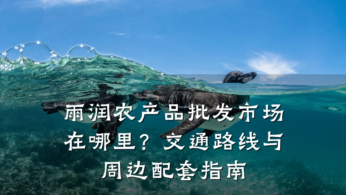 雨润农产品批发市场在哪里？交通路线与周边配套指南