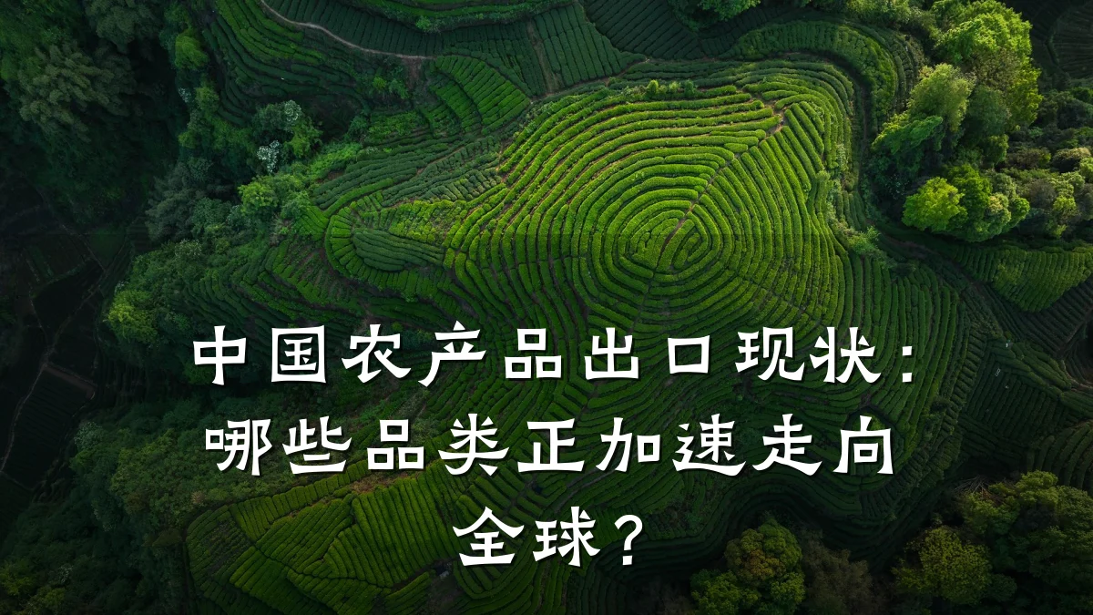 中国农产品出口现状:哪些品类正加速走向全球?