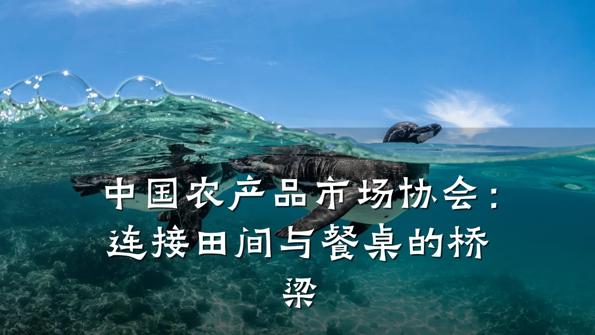 中国农产品市场协会：连接田间与餐桌的桥梁