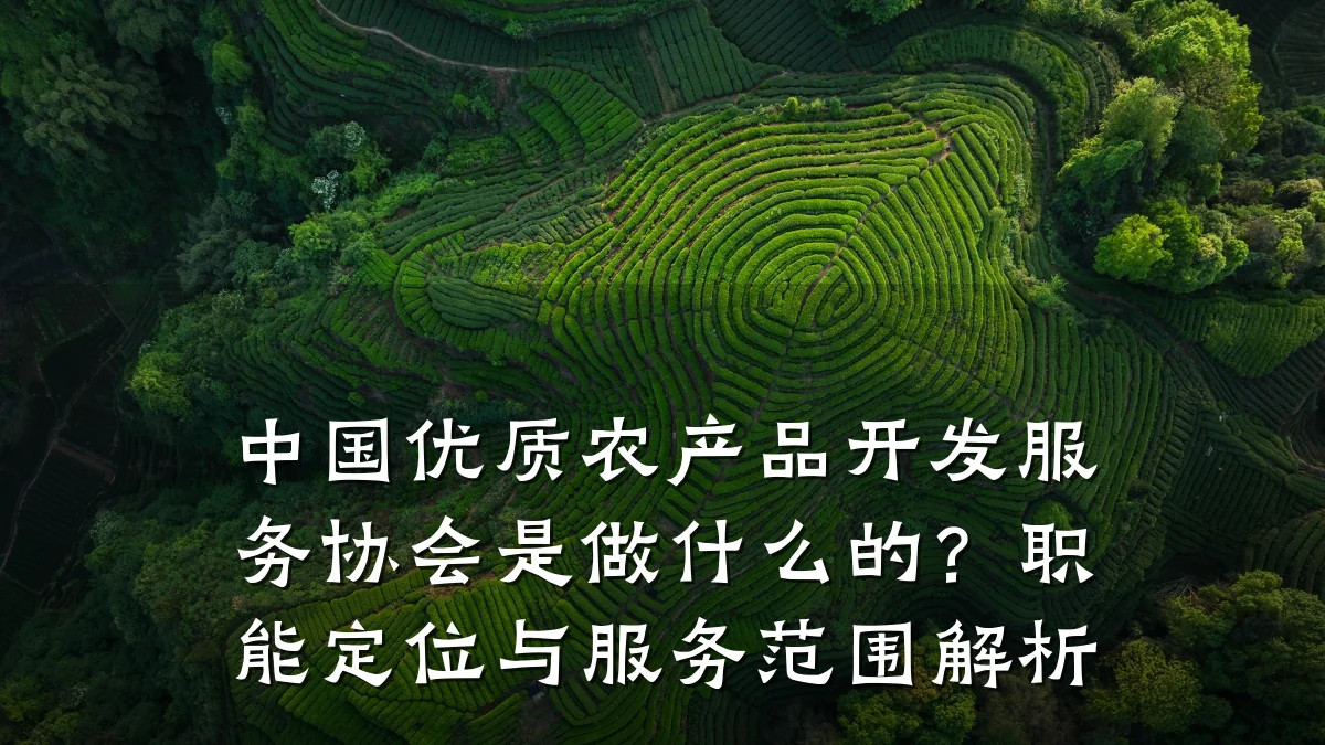 中国优质农产品开发服务协会是做什么的？职能定位与服务范围解析