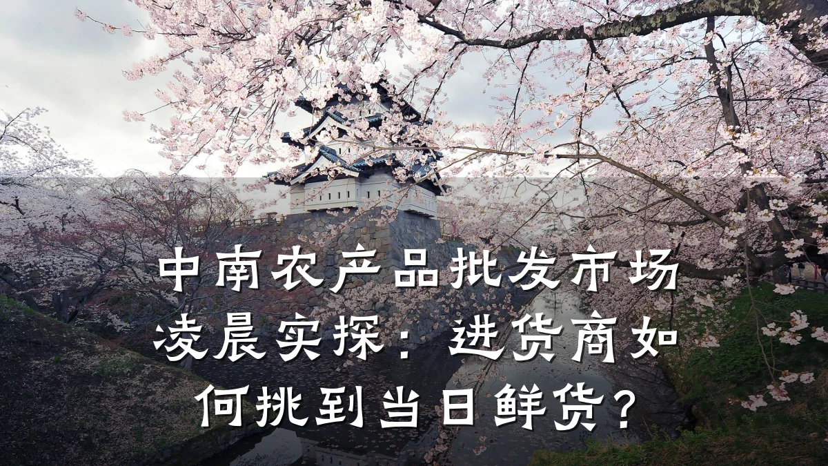 中南农产品批发市场凌晨实探：进货商如何挑到当日鲜货？