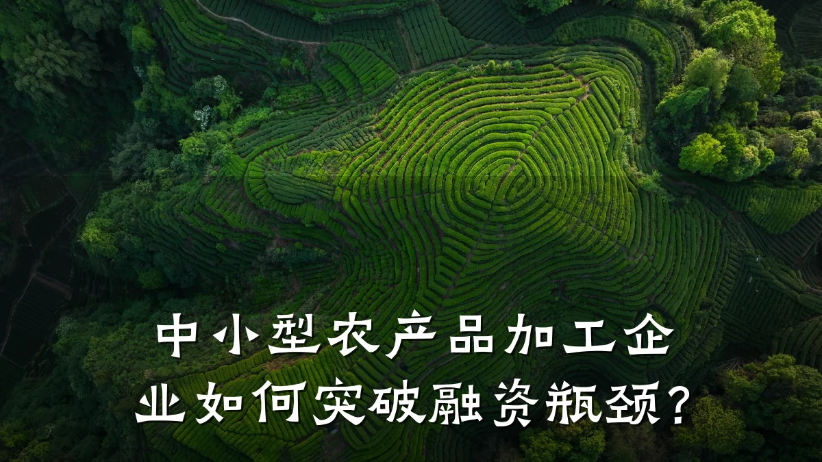 中小型农产品加工企业如何突破融资瓶颈？