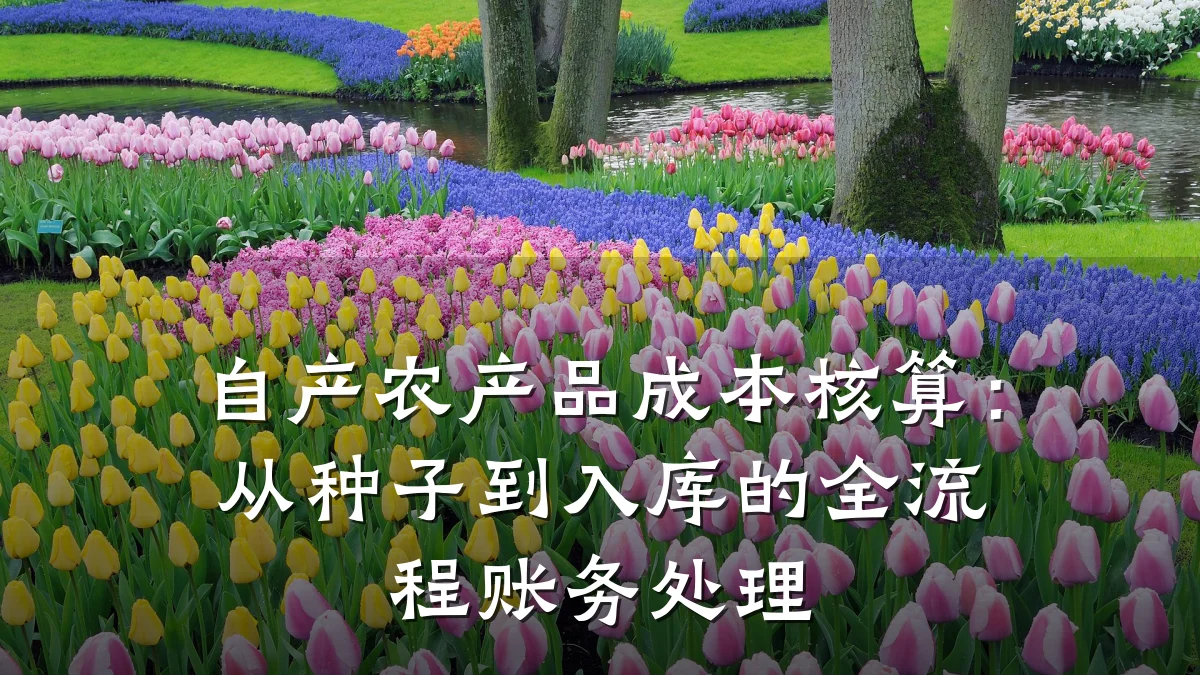 自产农产品成本核算：从种子到入库的全流程账务处理