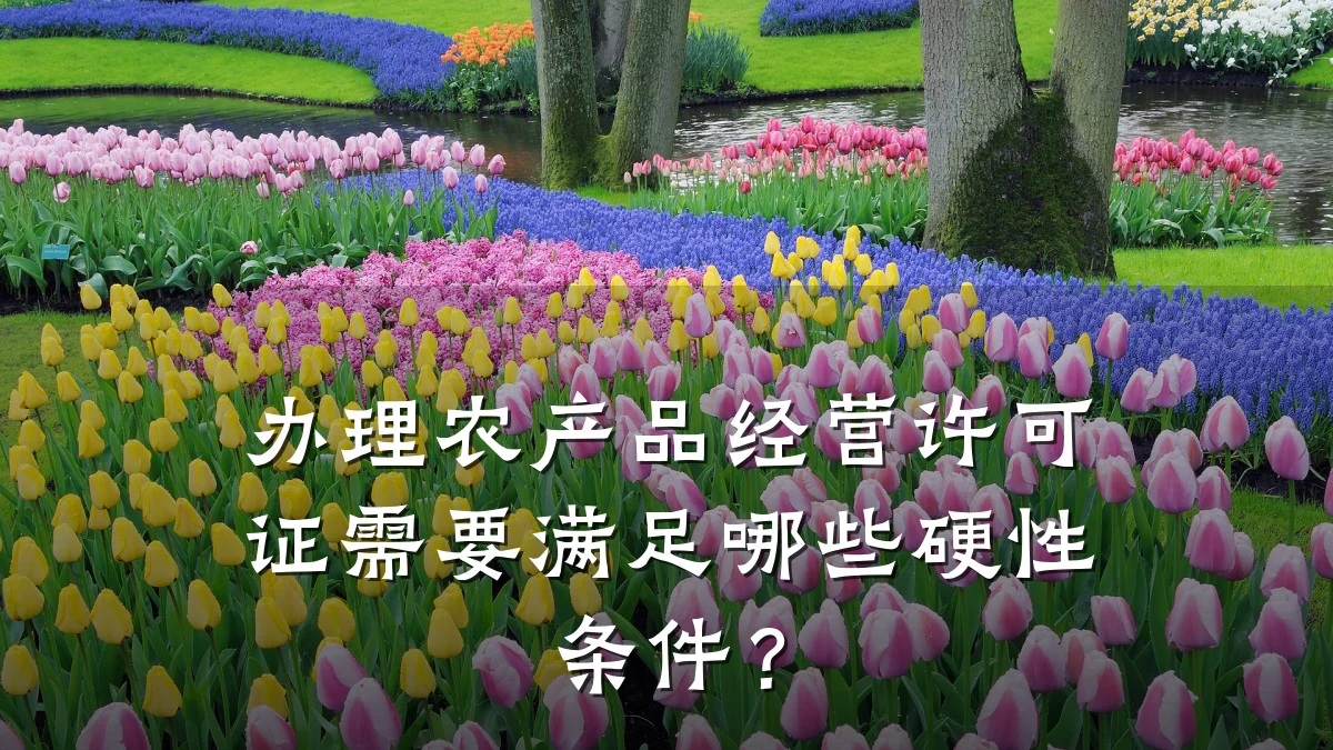 办理农产品经营许可证需要满足哪些硬性条件？