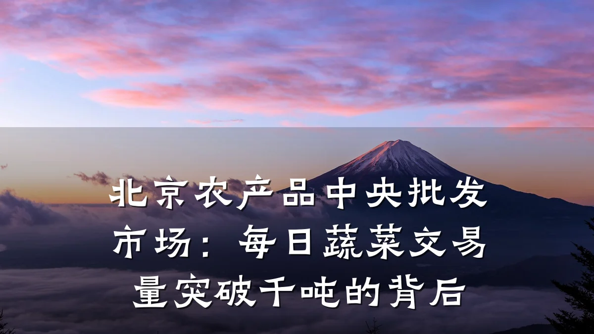 北京农产品中央批发市场：每日蔬菜交易量突破千吨的背后