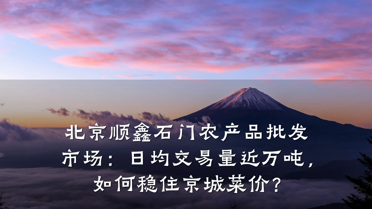 北京顺鑫石门农产品批发市场：日均交易量近万吨，如何稳住京城菜价？
