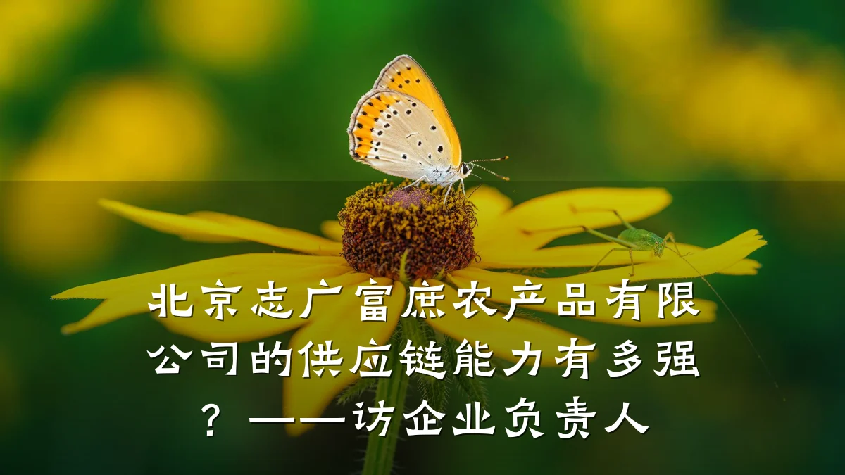 北京志广富庶农产品有限公司的供应链能力有多强？——访企业负责人