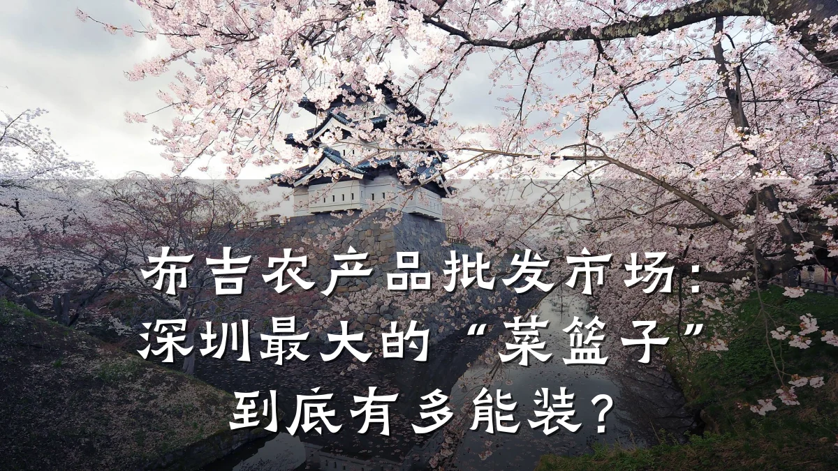 布吉农产品批发市场：深圳最大的“菜篮子”到底有多能装？