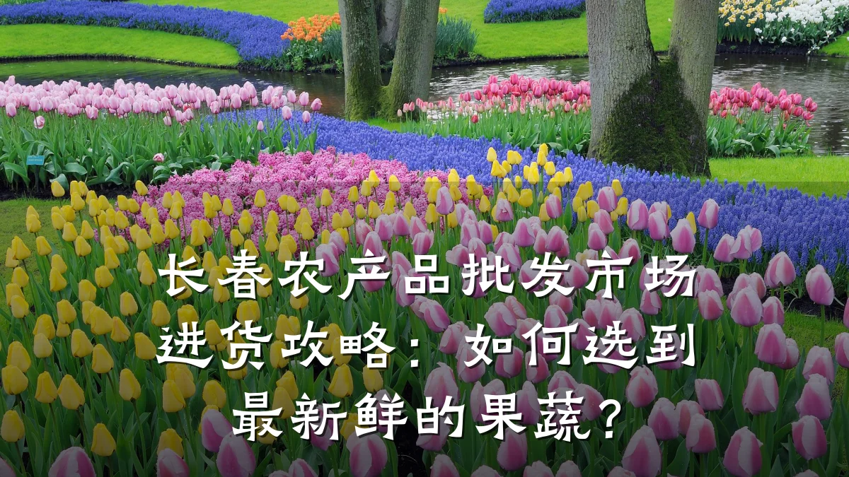 长春农产品批发市场进货攻略：如何选到最新鲜的果蔬？