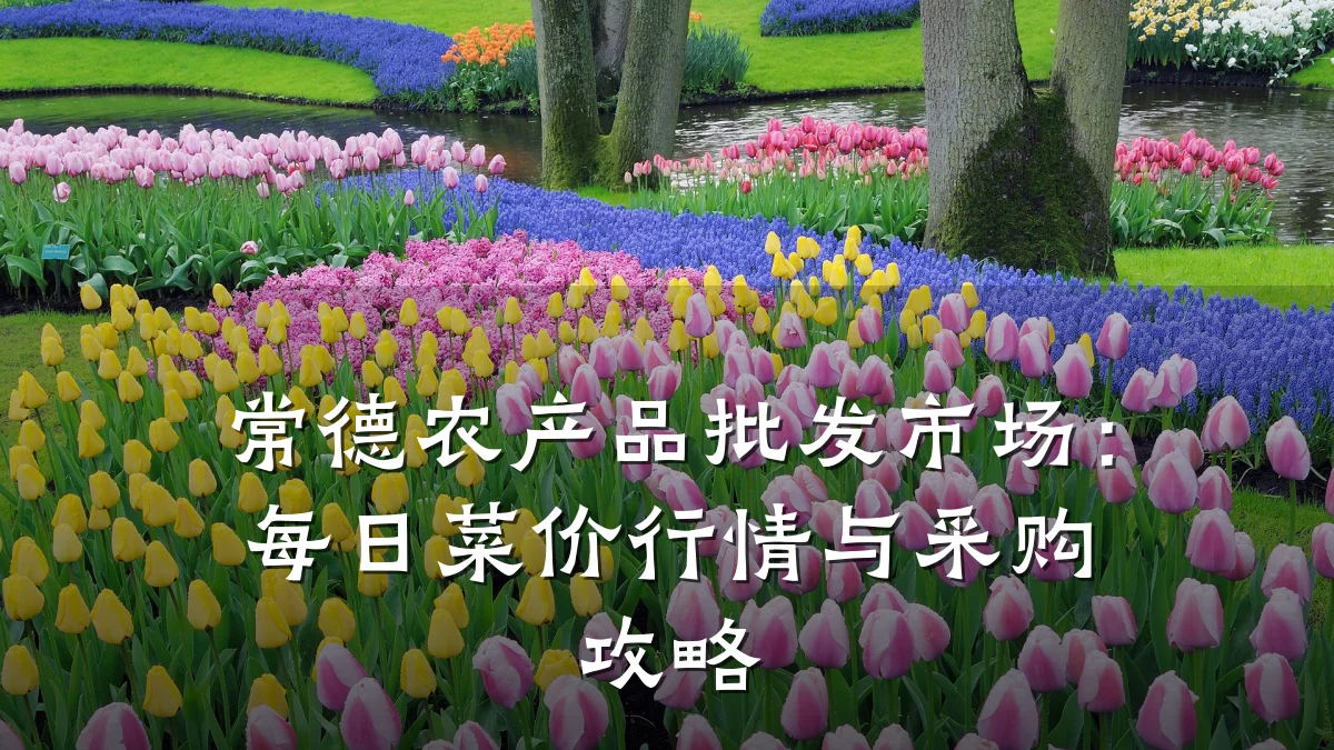 常德农产品批发市场：每日菜价行情与采购攻略