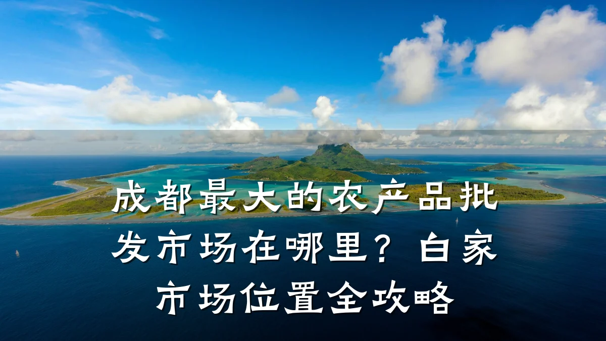 成都最大的农产品批发市场在哪里？白家市场位置全攻略