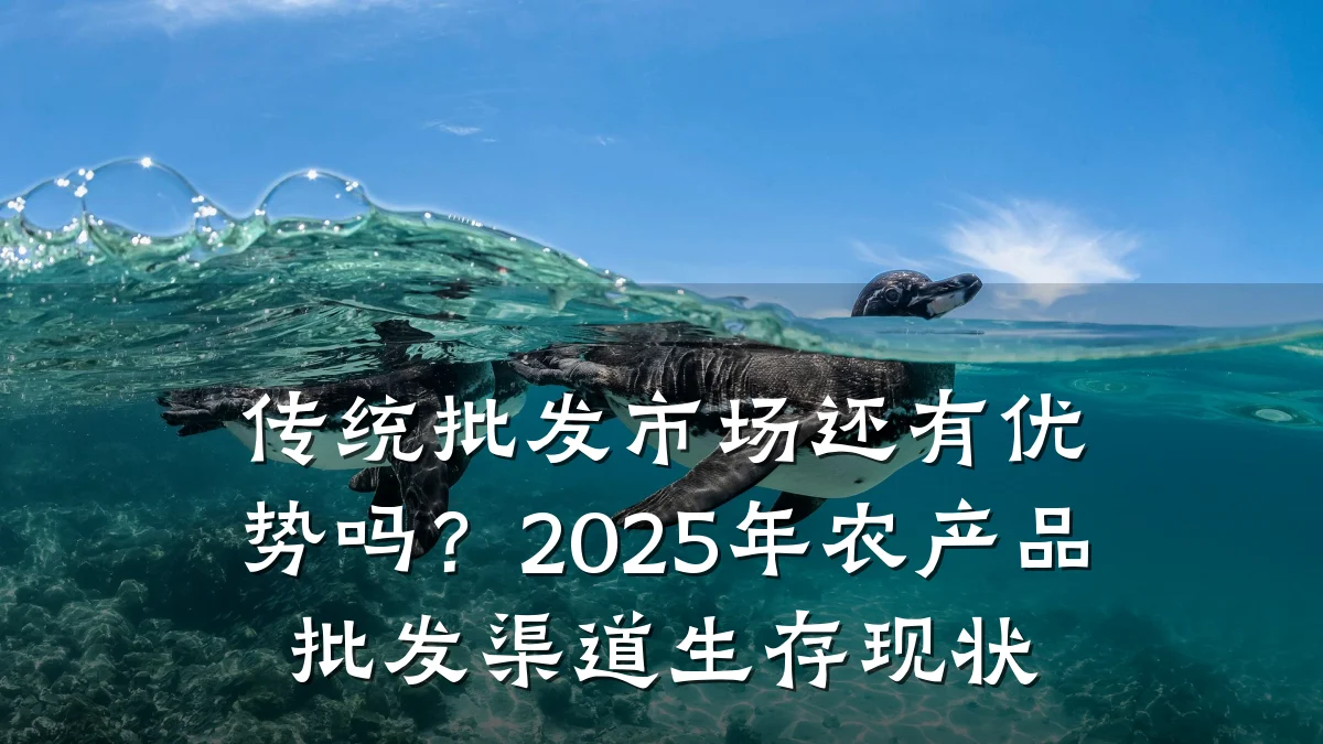 传统批发市场还有优势吗？2025年农产品批发渠道生存现状