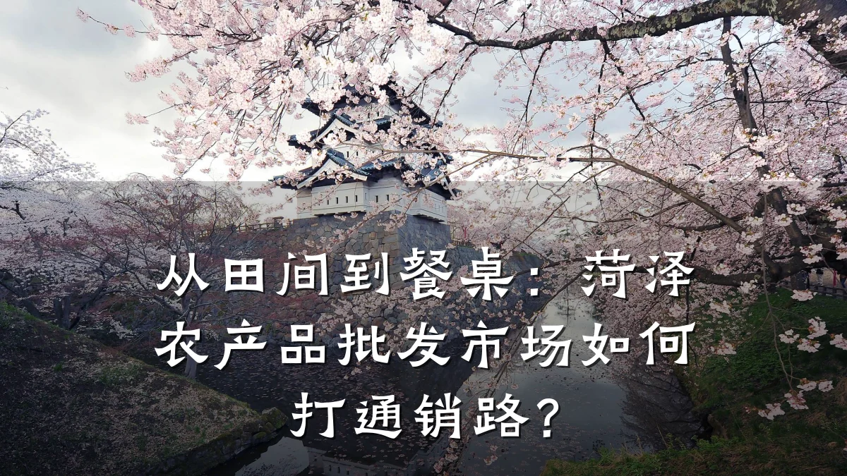 从田间到餐桌：菏泽农产品批发市场如何打通销路？