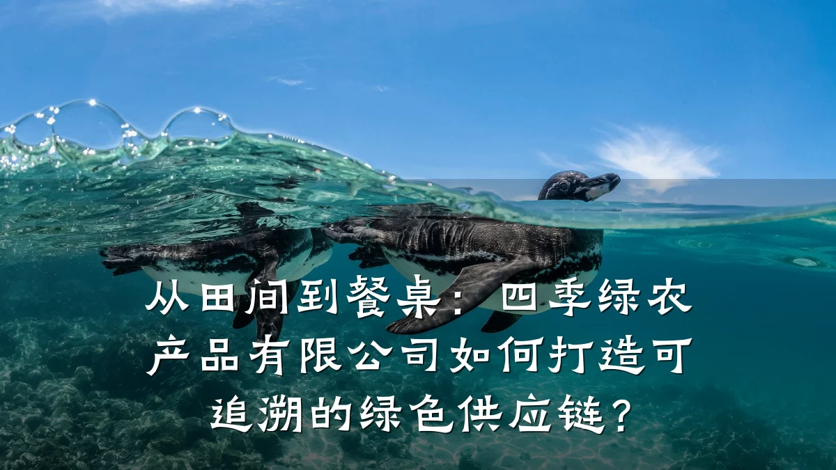 从田间到餐桌：四季绿农产品有限公司如何打造可追溯的绿色供应链？