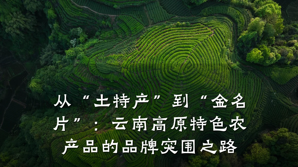 从“土特产”到“金名片”：云南高原特色农产品的品牌突围之路