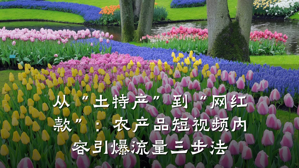 从“土特产”到“网红款”：农产品短视频内容引爆流量三步法