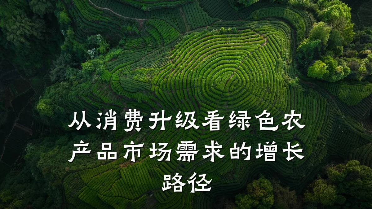 从消费升级看绿色农产品市场需求的增长路径