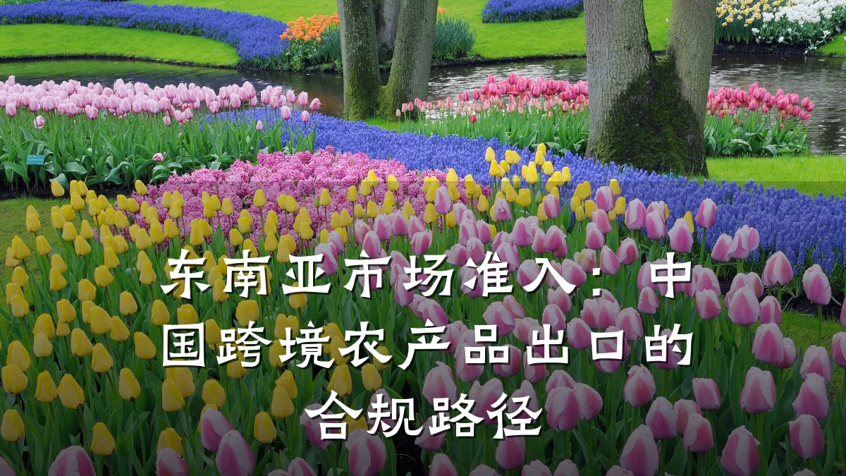 东南亚市场准入：中国跨境农产品出口的合规路径