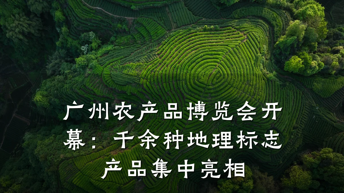 广州农产品博览会开幕：千余种地理标志产品集中亮相