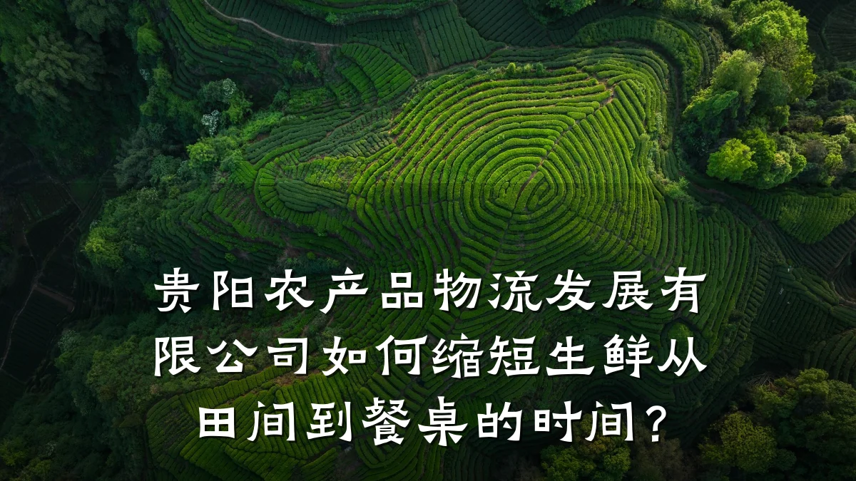 贵阳农产品物流发展有限公司如何缩短生鲜从田间到餐桌的时间？