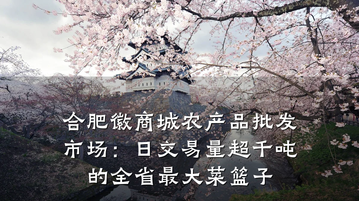 合肥徽商城农产品批发市场：日交易量超千吨的全省最大菜篮子