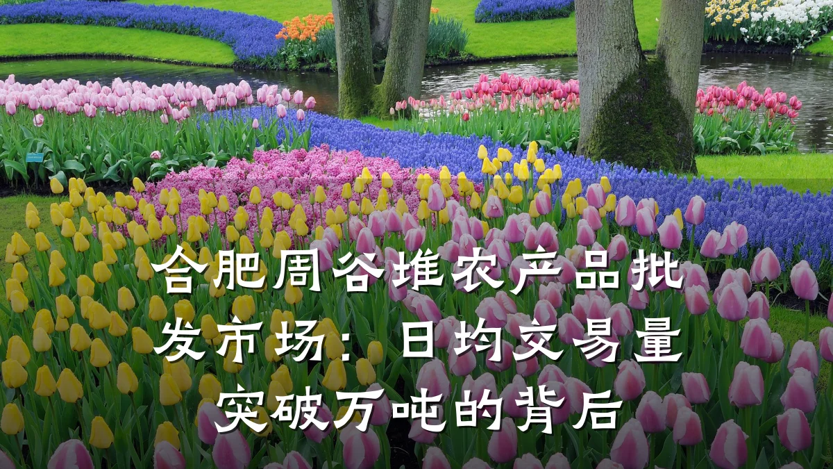 合肥周谷堆农产品批发市场：日均交易量突破万吨的背后