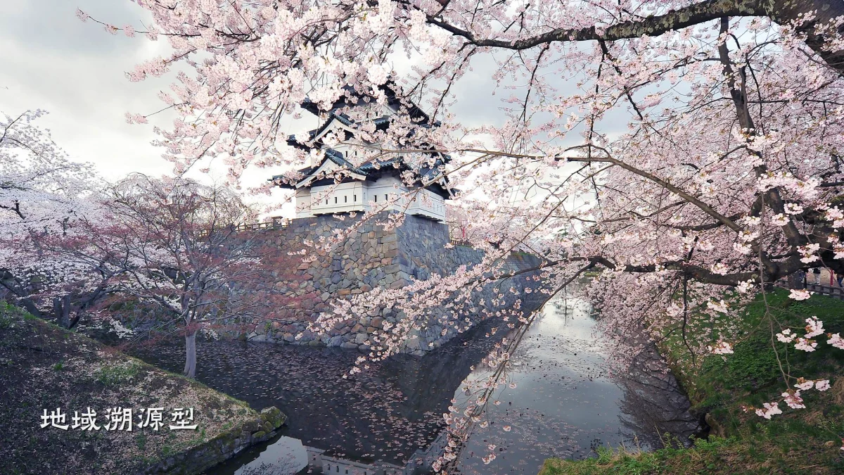地域溯源型