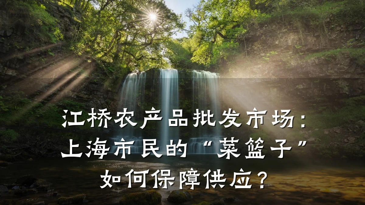 江桥农产品批发市场：上海市民的“菜篮子”如何保障供应？