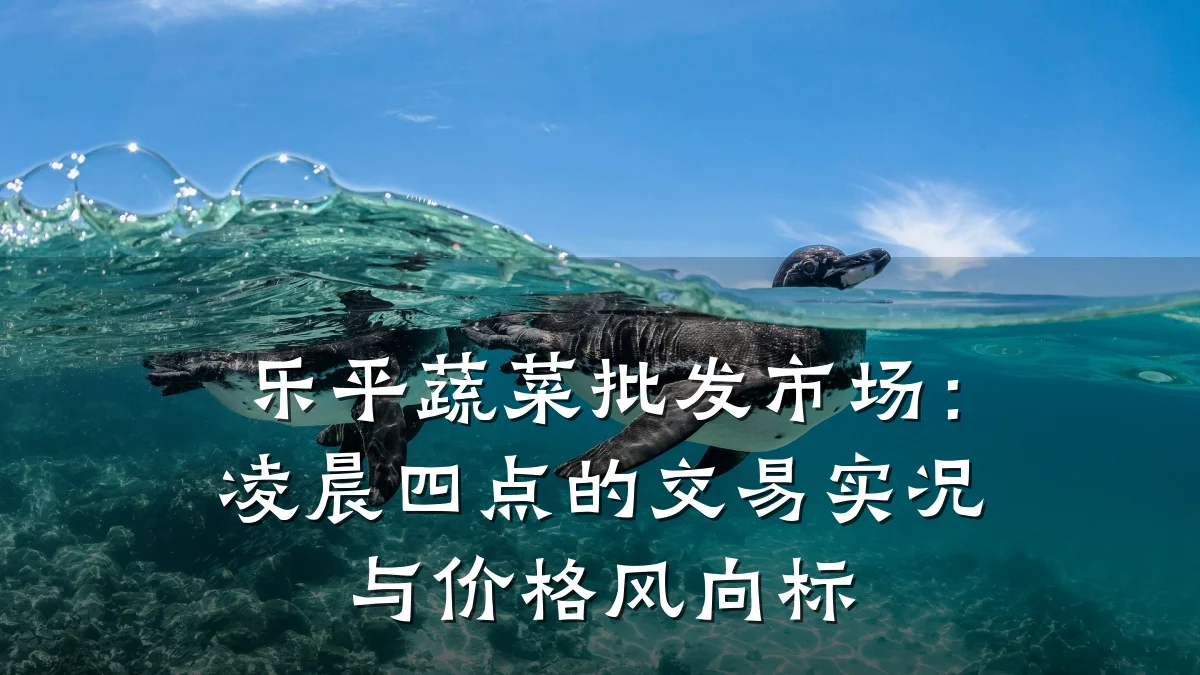 乐平蔬菜批发市场：凌晨四点的交易实况与价格风向标