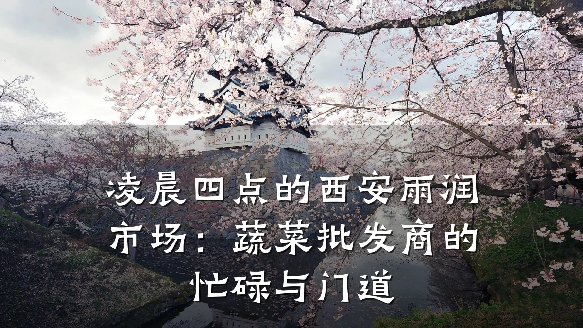 凌晨四点的西安雨润市场：蔬菜批发商的忙碌与门道