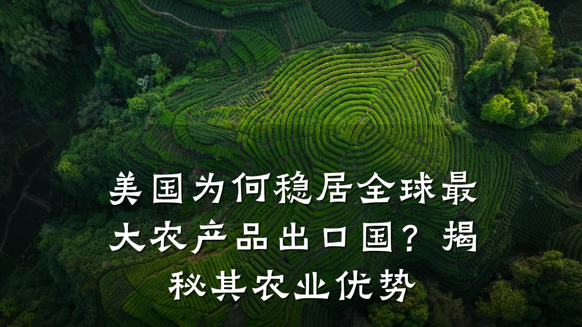 美国为何稳居全球最大农产品出口国？揭秘其农业优势