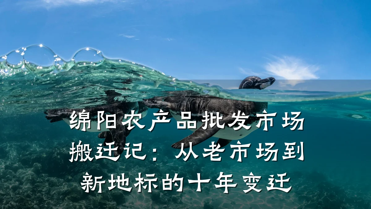 绵阳农产品批发市场搬迁记：从老市场到新地标的十年变迁