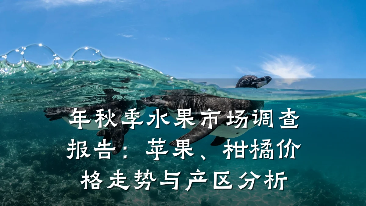 年秋季水果市场调查报告：苹果、柑橘价格走势与产区分析