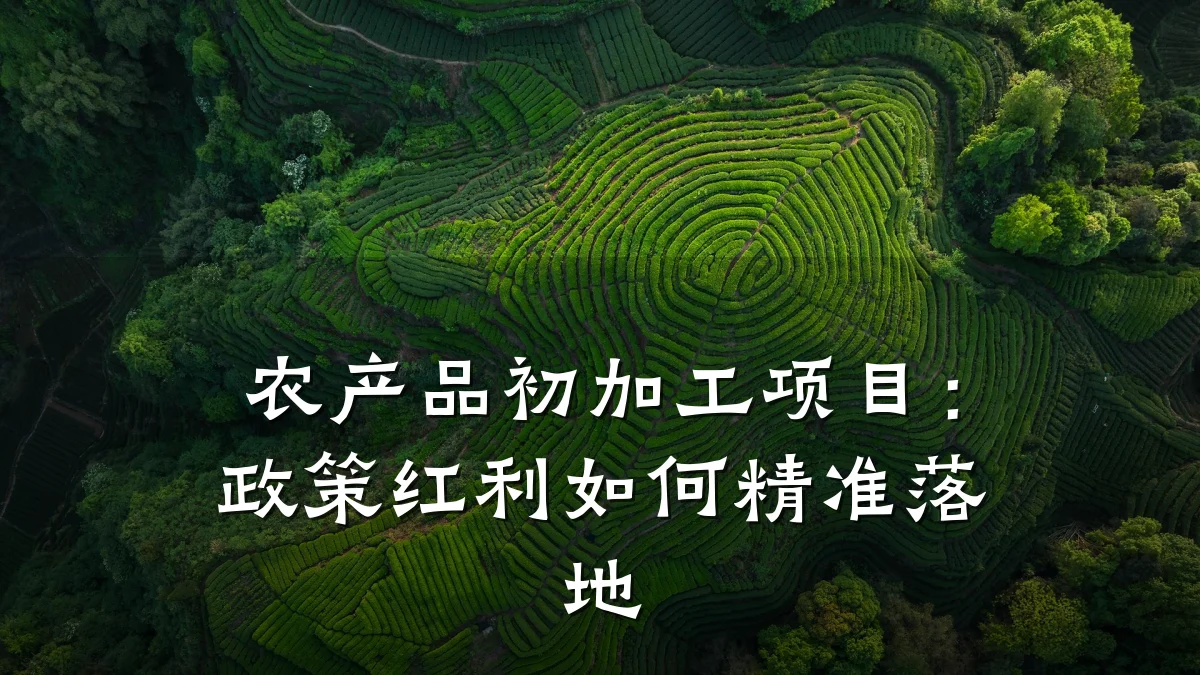 农产品初加工项目：政策红利如何精准落地