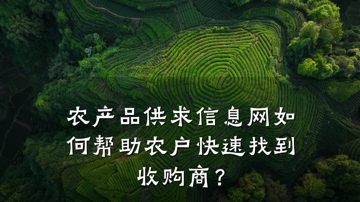 农产品供求信息网如何帮助农户快速找到收购商？