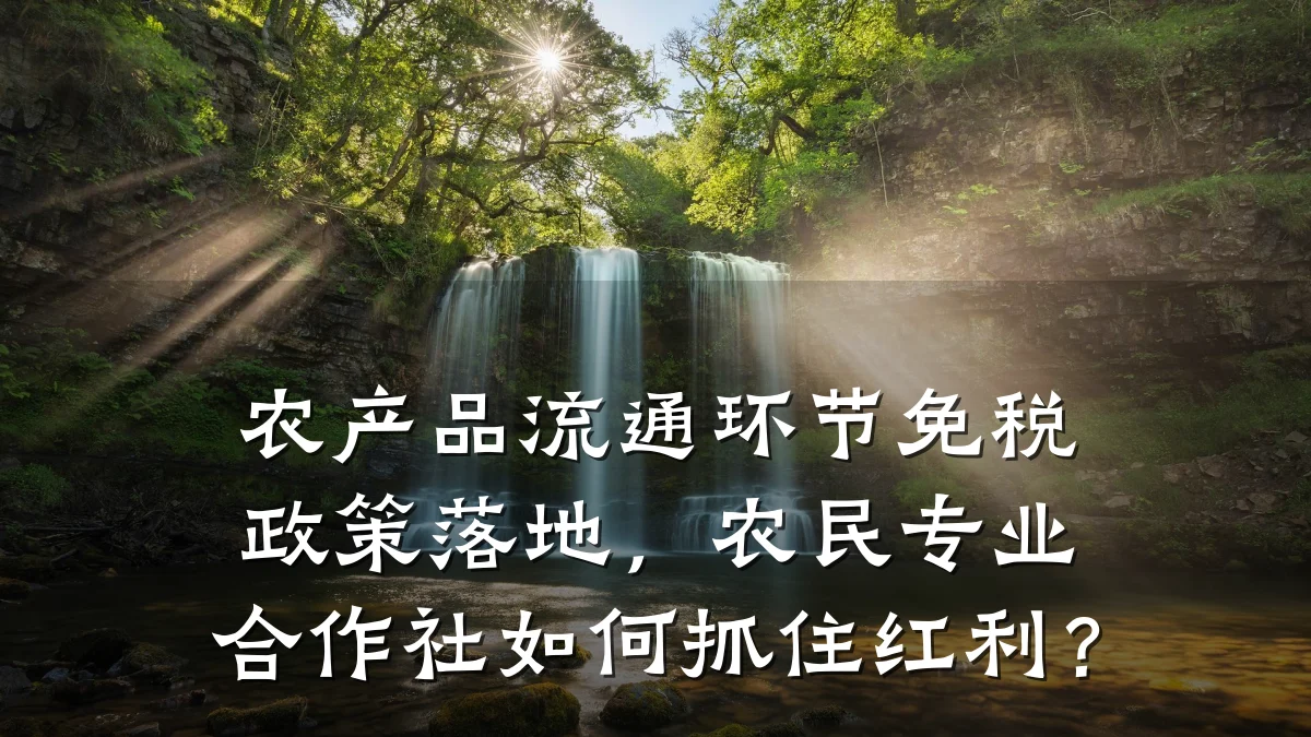 农产品流通环节免税政策落地，农民专业合作社如何抓住红利？