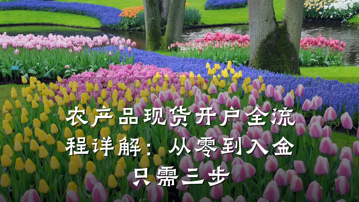 农产品现货开户全流程详解:从零到入金只需三步