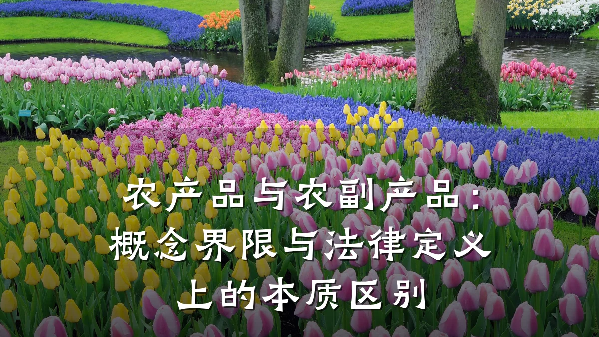 农产品与农副产品：概念界限与法律定义上的本质区别