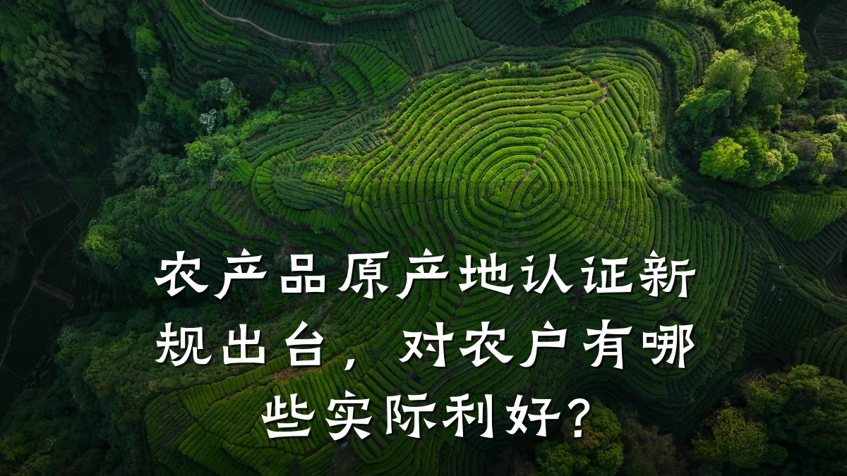 农产品原产地认证新规出台，对农户有哪些实际利好？