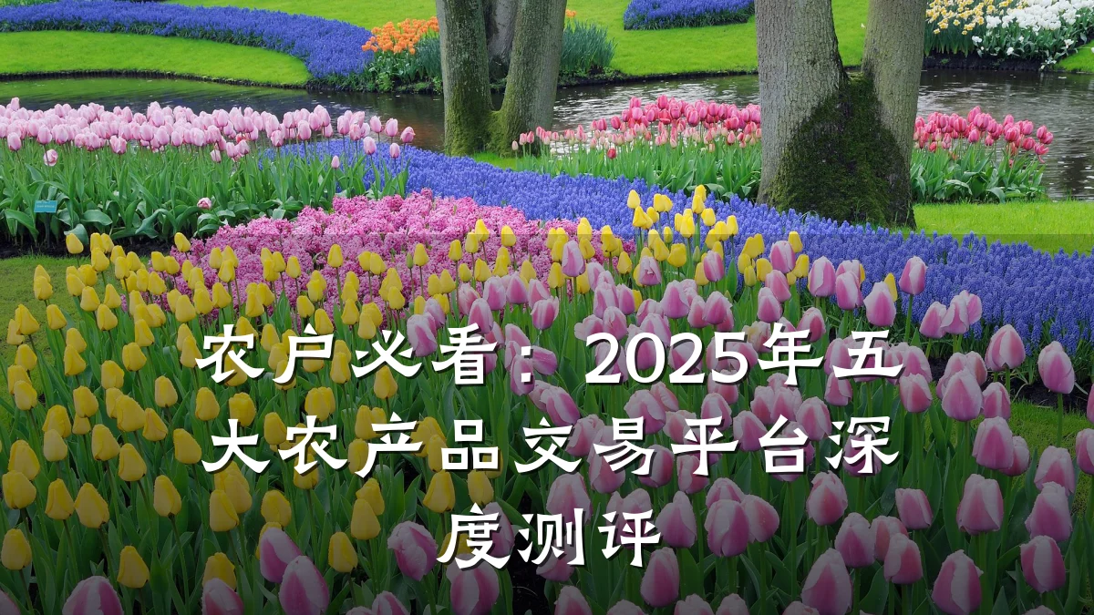 农户必看：2025年五大农产品交易平台深度测评